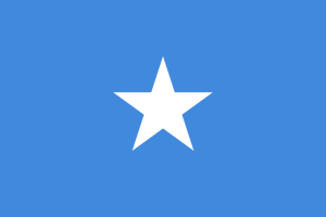 800px-flag_of_somalia_svg1