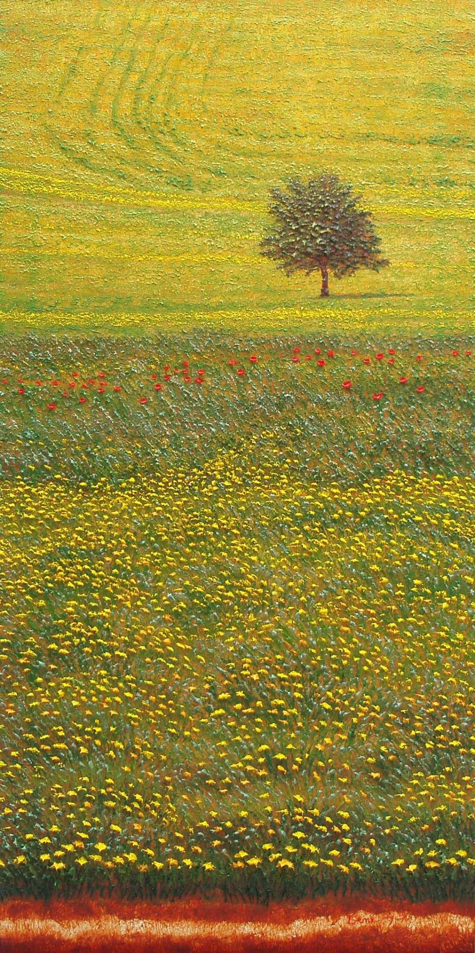 colline toscane cm 120x60