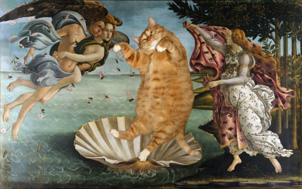 Botticelli-The-Birth-of-Venus-cat-sm1