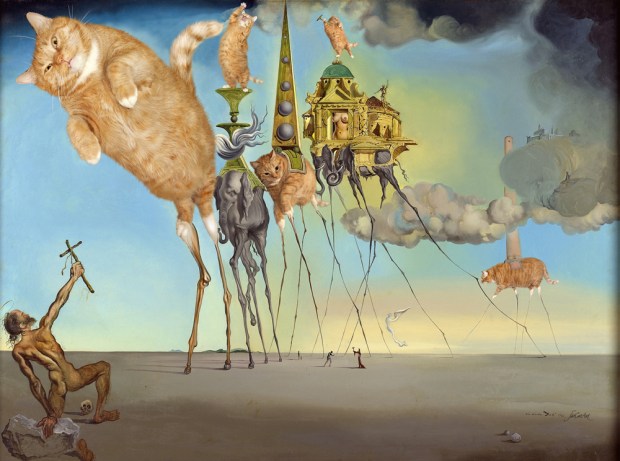 Dali_The-Temptation-of-Saint-Anthony-w