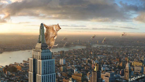 King-Kong-2005-cat-w-1024x578