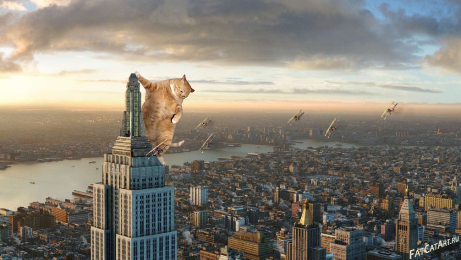 King-Kong-2005-cat-w-1024x578