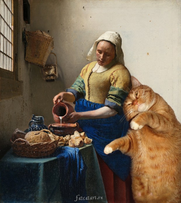 Vermeer-the-milkmaid-cat