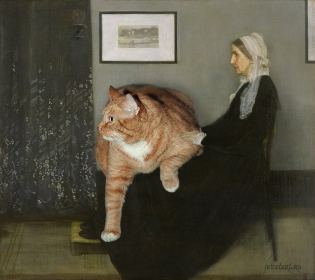 Whistlers_Mother_cat-w