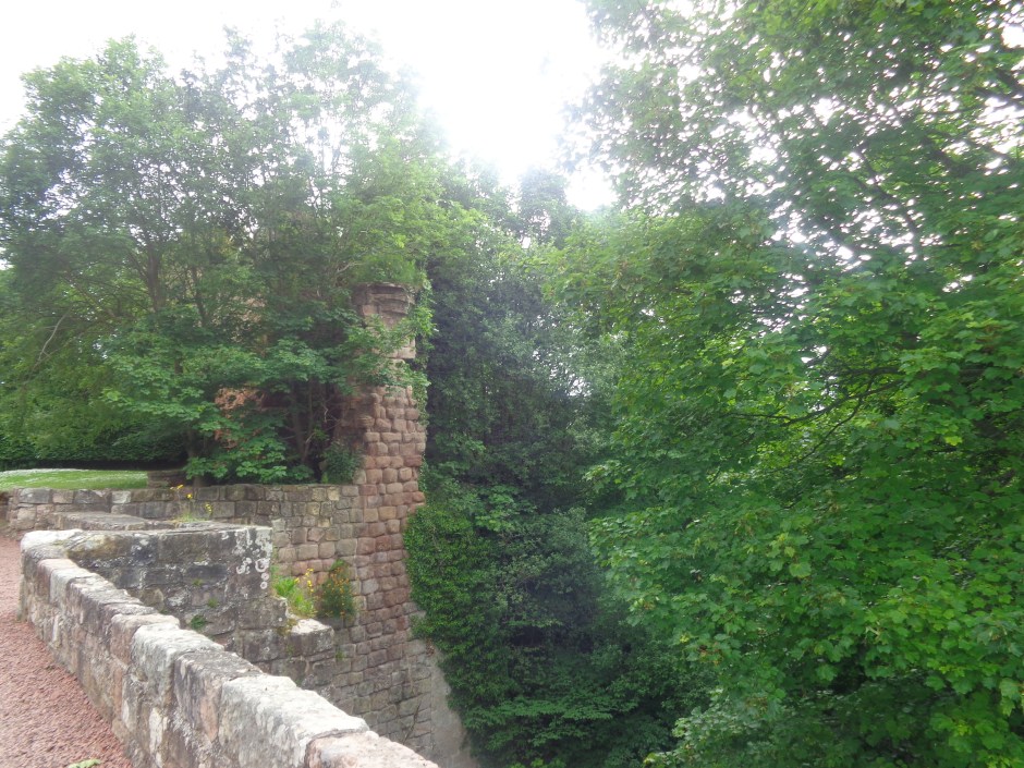 DSC01409 - Copy - Copy