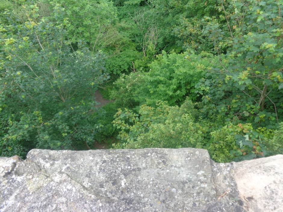 DSC01410 - Copy - Copy