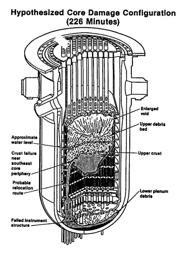 TMI_nocciolo_danneggiato