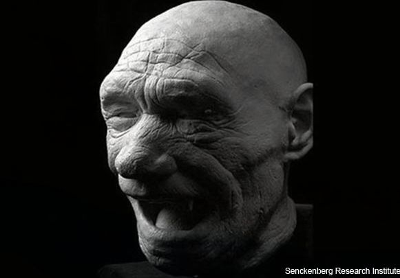 a6homoneandhertalensis