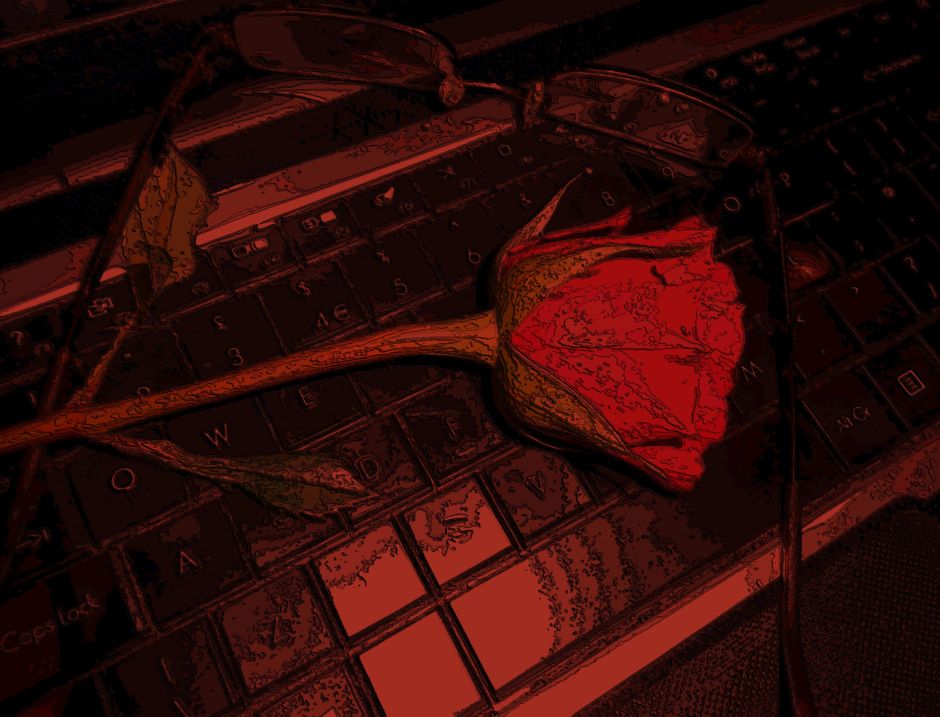 beautiful-rose-for-me