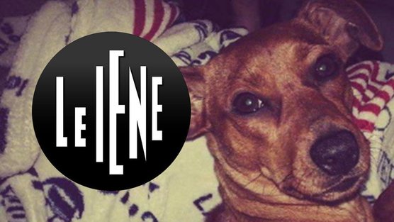 etfwtavbaugpccu-556x313-cropped