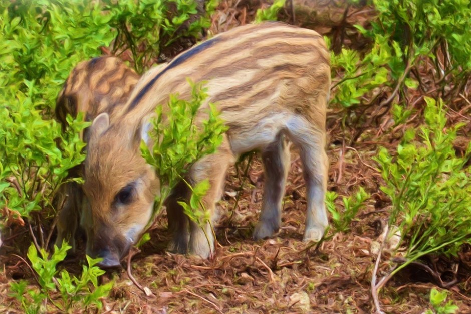 painting-1843075_960_720