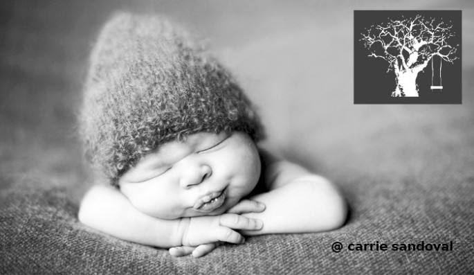 baby_dharma_schiarito1