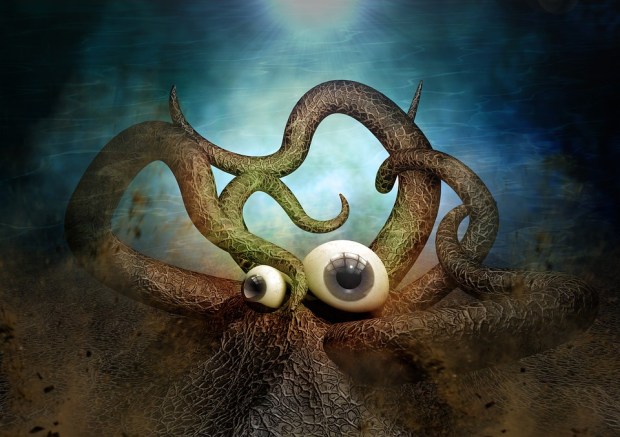 octopus-2838061_960_720