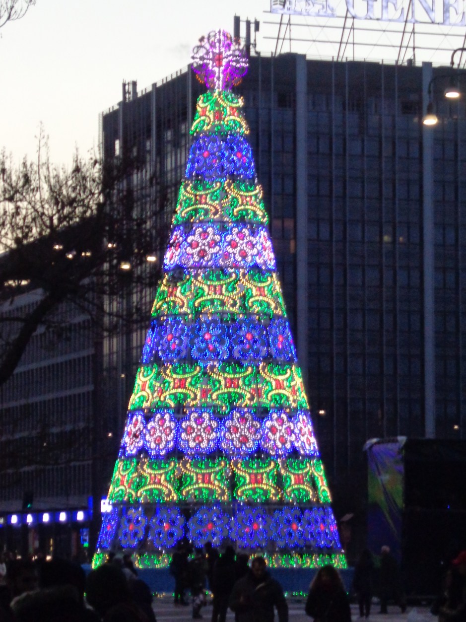 albero 2 milano