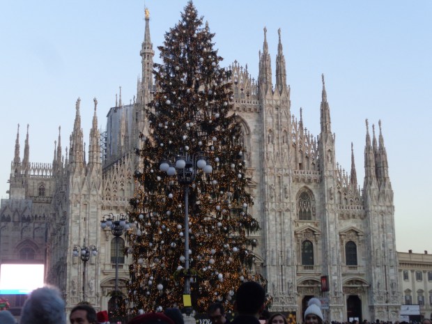 albero duomo