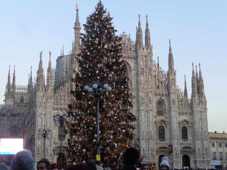 albero duomo