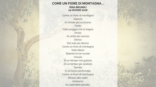 fiore di montagna (1)