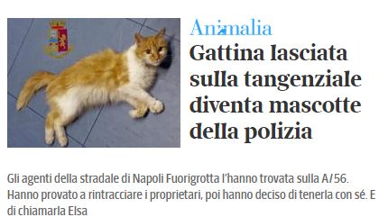 gattina