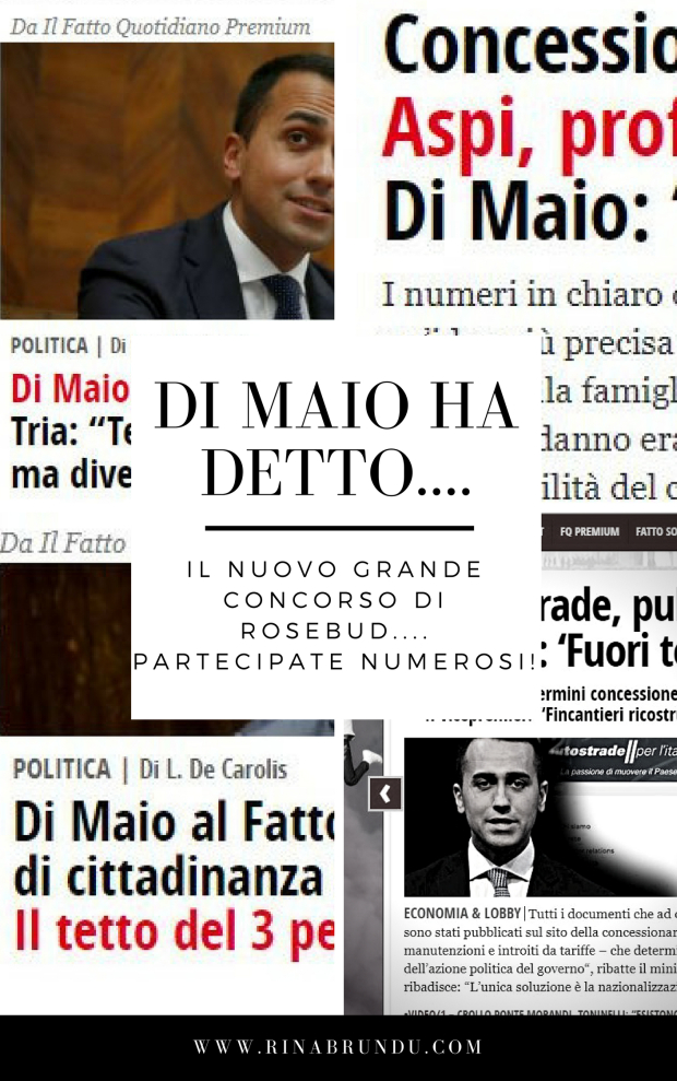 di-maio-ha-detto.jpg
