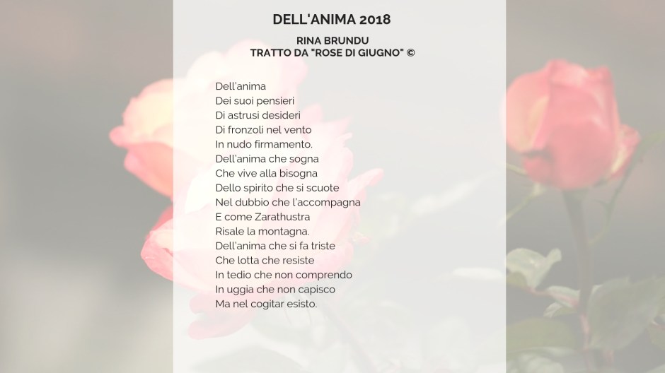 Rose di giugno di Rina Brundu (1).jpg