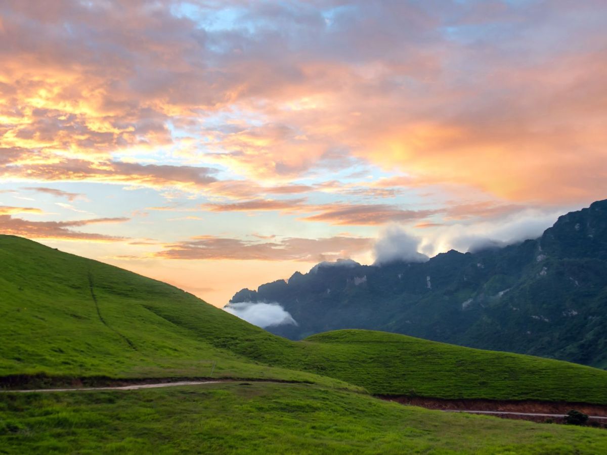 What kind of&nbsp;naturalism?